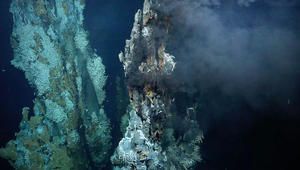 Hydrothermal vent, an extreme environment inhabited by archaea