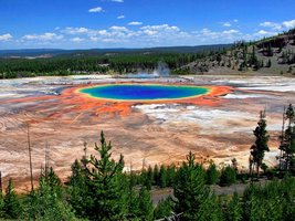 Hot spring, another extreme environment for archaea