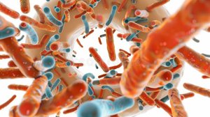 Microscopic view of gut microbiota including archaea