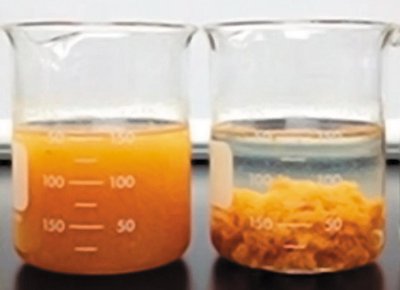 Flocs in sewage treatment