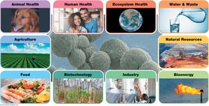 Microbial applications in various fields