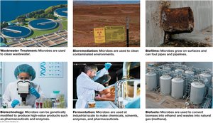Industrial uses of microbes
