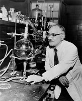 Painting of Alexander Fleming in his laboratory, symbolizing the discovery of penicillin