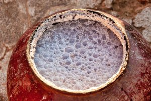 Fermenting beer with visible foam, representing the brewing process as a natural bioreactor