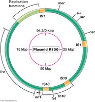 Genetic Map of Resistance Plasmid R100