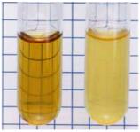 Oxygen requirements for microbes