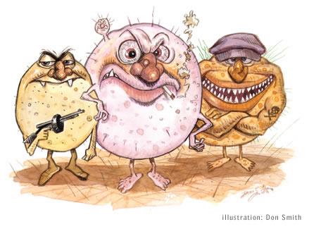 Cartoon of pathogenic microbes