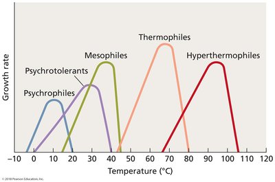 Temperature categories of microbes