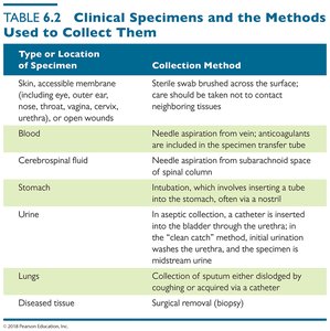 Clinical specimen collection table