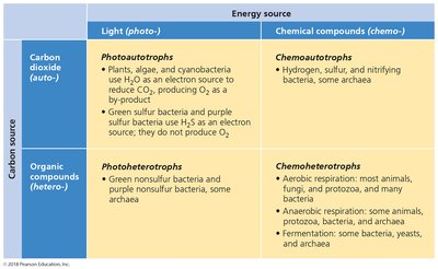 Table of nutritional types