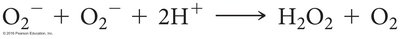 Superoxide dismutase reaction