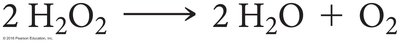 Catalase reaction