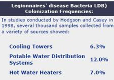 Pseudomonas with polar flagella
