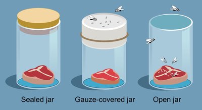 Redi's experiment with sealed, gauze-covered, and open jars
