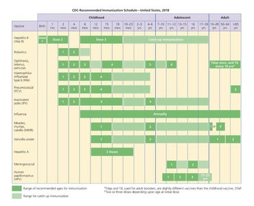 CDC recommended immunization schedule