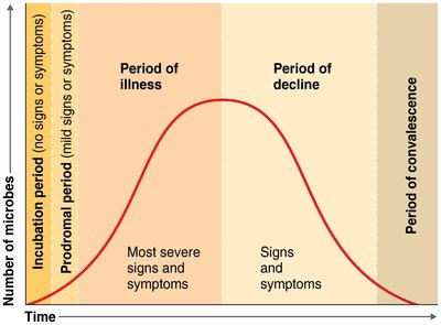 Graph of disease progression stages