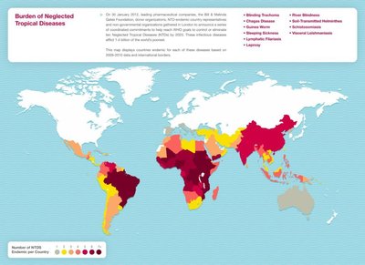 Global map showing burden of NTDs by country