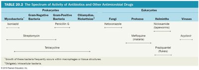 Spectrum of activity of antibiotics and other antimicrobial drugs