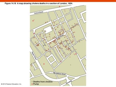 John Snow's cholera map, 1854