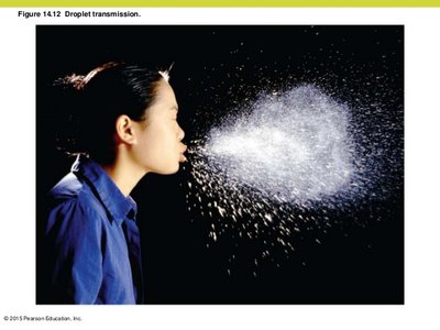 Droplet transmission during a sneeze