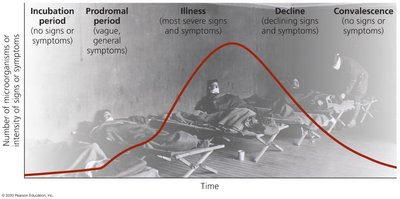 Graph of stages of infectious disease