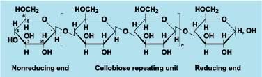 Cellulose structure in algal cell walls