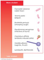 Virulence scale of pathogens