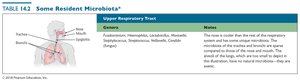 Resident microbiota of the upper respiratory tract