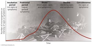 Stages of infectious disease graph