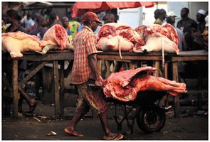 Foodborne transmission