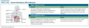 Resident microbiota of the digestive tract
