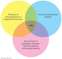 Venn diagram of factors in HAIs