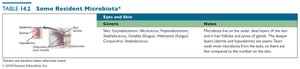 Resident microbiota of eyes and skin