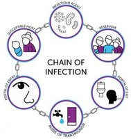Chain of infection diagram