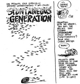 Cartoon about spontaneous generation