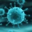 Influenza virus illustration
