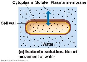 Isotonic solution