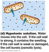 Hypotonic solution