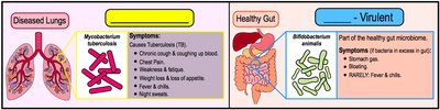 Infectious dose and communicable disease