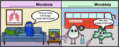 Resident vs. transient microbiota cartoon