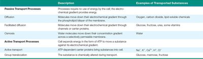 Transport processes across cell membranes
