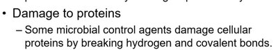 Actions of microbial control agents