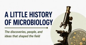 A little history of microbiology title slide with microscope