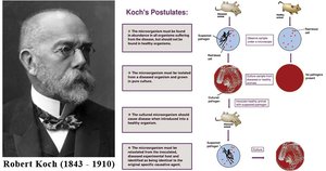 Koch's postulates and their application