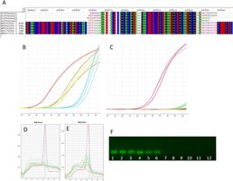 PCR and DNA sequencing data