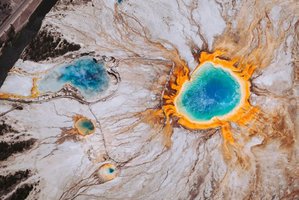 Archaea thriving in extreme environments