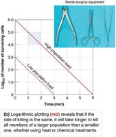 Microbial Death Curve with Population Load and Sterile Equipment