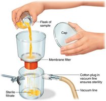 Filter Sterilization with Membrane Filter