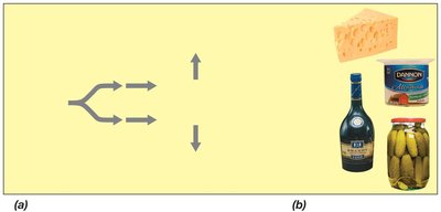 Microbial fermentation and production of fermented foods