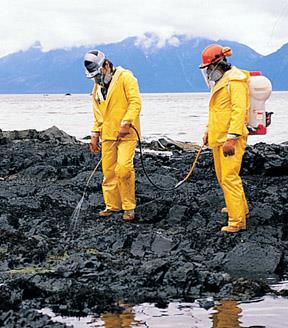 Bioremediation: Microbes cleaning up oil spills